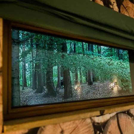 Apartment Bergwaldsee