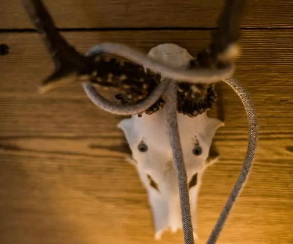 Bergwaldsee Apartment