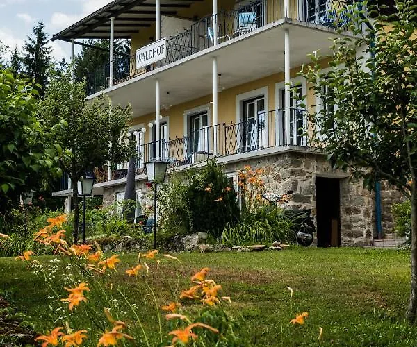 Apartment Bergwaldsee